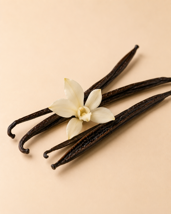 Vanille · Tonka · Benjoin · Musc blanc