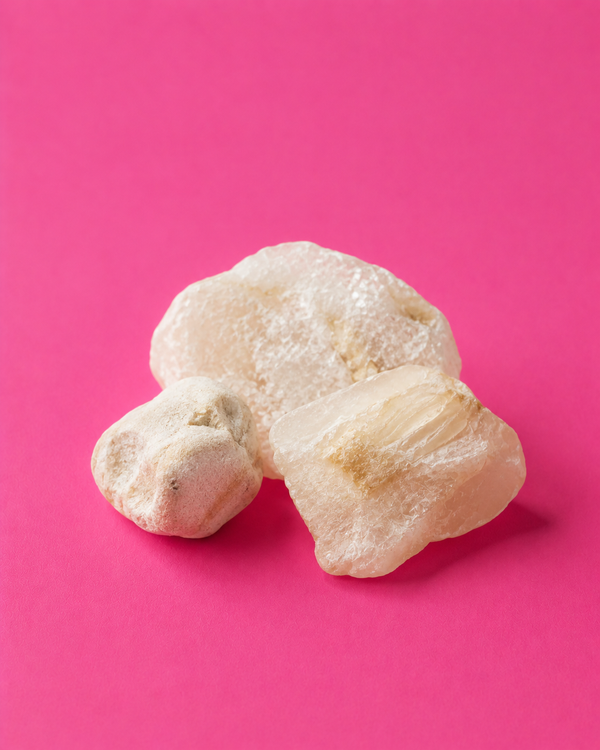 Ambre blanc · Musc blanc · Vétiver